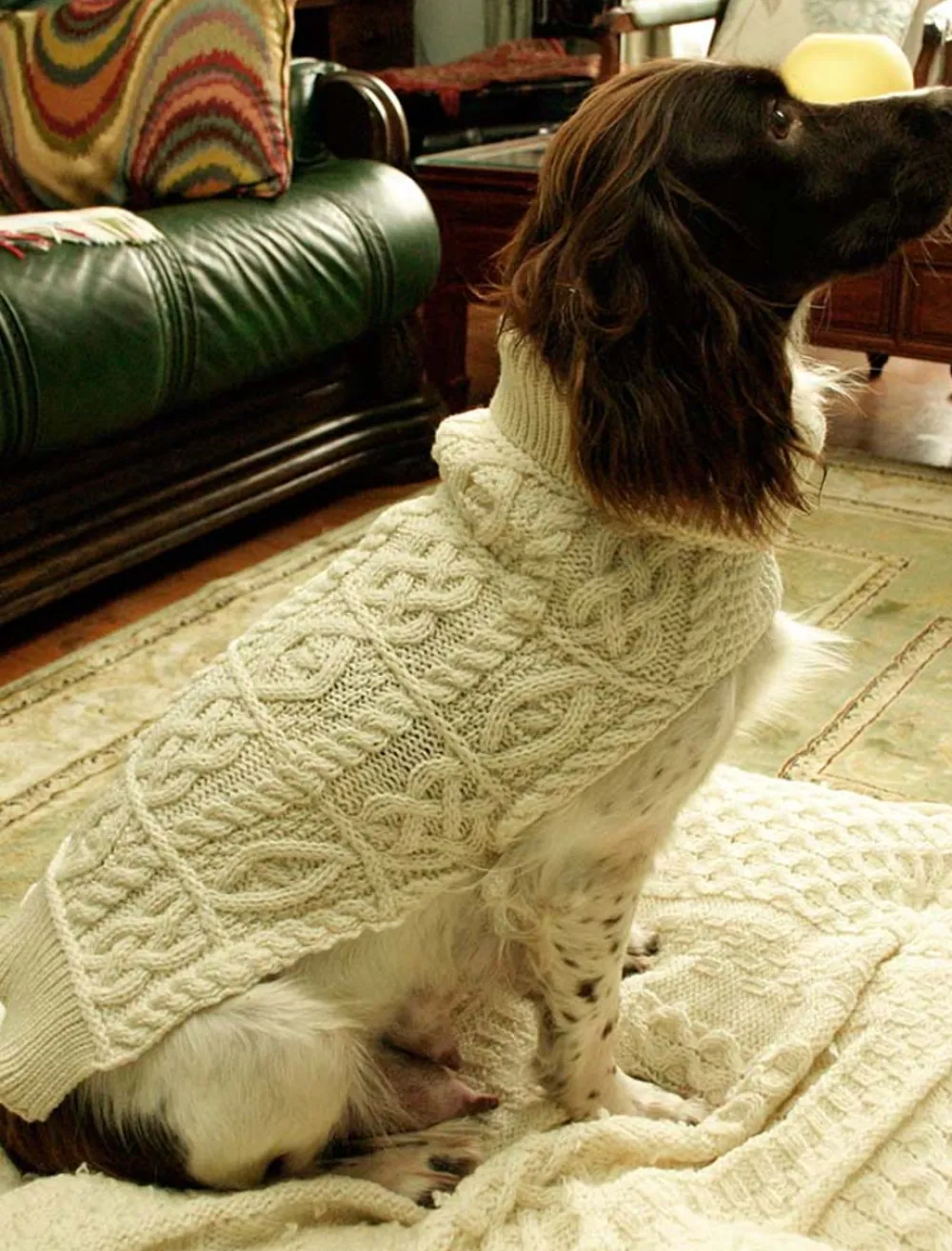 Cheap Aran Dog Coat Aran Design Homeware