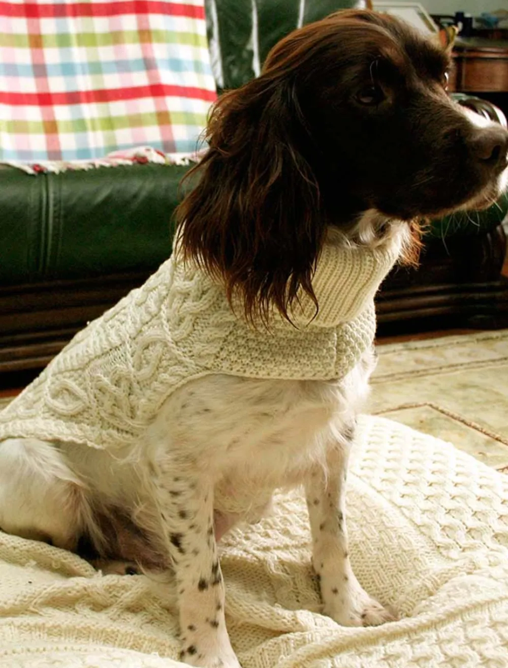 Cheap Aran Dog Coat Aran Design Homeware